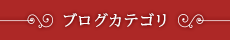 ブログカテゴリ